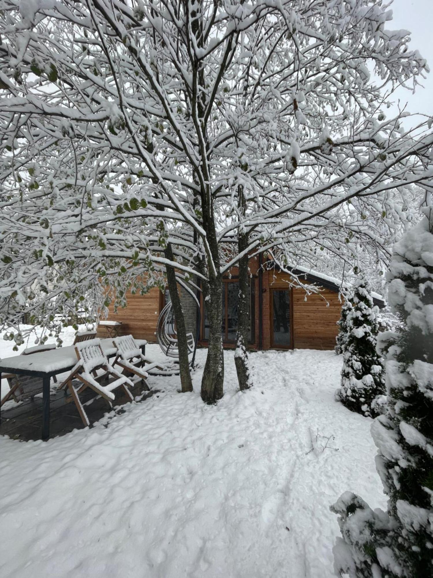 Villa Alpina Brezovica Exterior photo