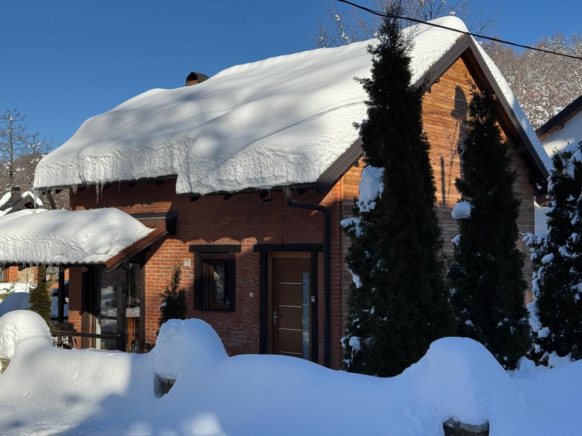 Villa Alpina Brezovica Exterior photo